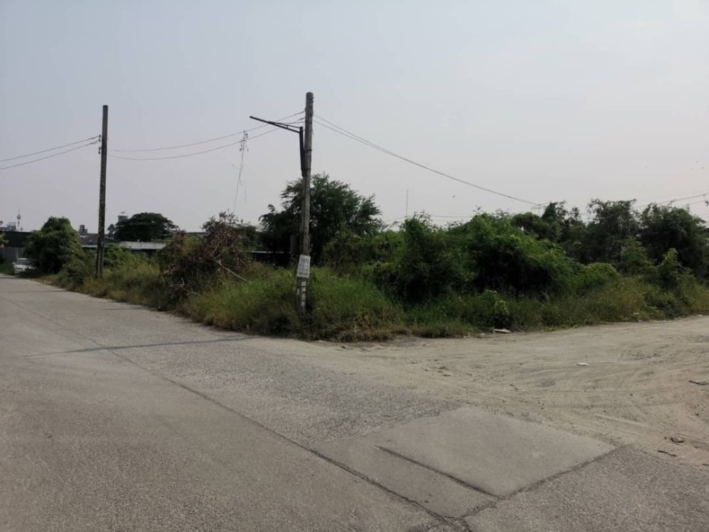 Land for rent Located in Soi Ratchathani Village 2, Thepharak Road... go into the alley about 300 meters... – รูปที่ 2