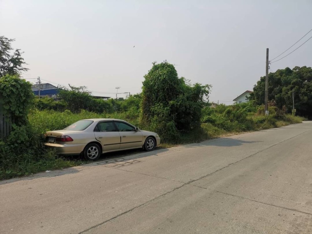 Land for rent Located in Soi Ratchathani Village 2, Thepharak Road... go into the alley about 300 meters... – รูปที่ 3