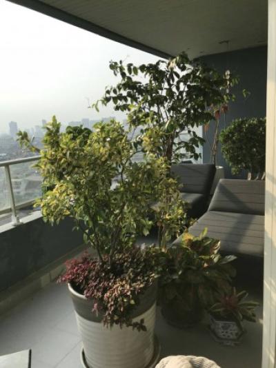 Watermark Chaophraya, 242 sqm. Panoramas/Asiatique view, Renovated Two Bedrooms and Office room Condo for Sale at Watermark chaophraya.