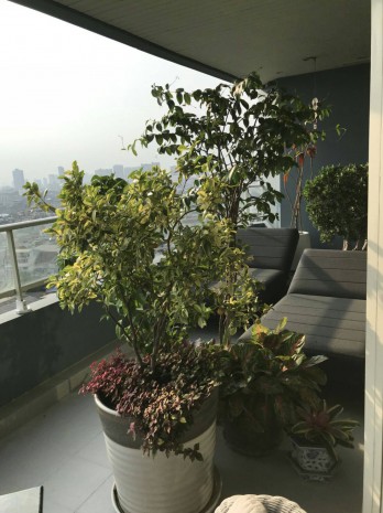 Watermark Chaophraya, 242 sqm. Panoramas/Asiatique view, Renovated Two Bedrooms and Office room Condo for Sale at Watermark chaophraya.