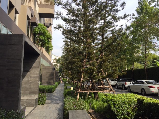 Ashton Morph 38, 35sqm Good price!! Cozy Convenient One bedroom One bathroom for rent at Ashton Morph 38 – รูปที่ 2