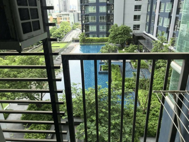 The Base Sukhumvit 77, 30sqm Cozy One bedroom, View pool and Phra Khanong canal, condo for rent at The base sukhumvit 77. The Base Sukhumvit 77, 30sqm Cozy One bedroom, View pool and Phra Khanong canal, condo for rent at The base sukhumvit 77.