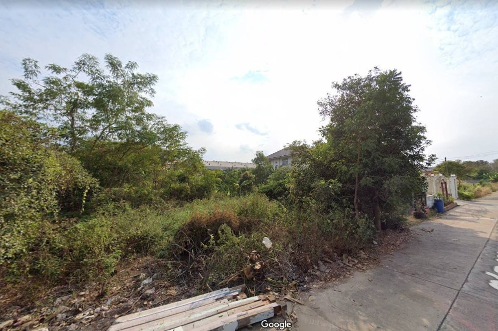 ขาย ที่ดิน สามโคก ปทุมธานี (ซ.หนองจอก 3) – รูปที่ 2