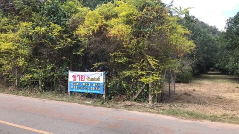 ขายที่ดิน 4ไร่ 2 งาน 73 ตรว. ใกล้วัดท่ามะปรางค์ เขาใหญ่ ติดถนนลาดยางเป็นที่ราบถมแล้ว ไม่มีหนองน้ำ – รูปที่ 2