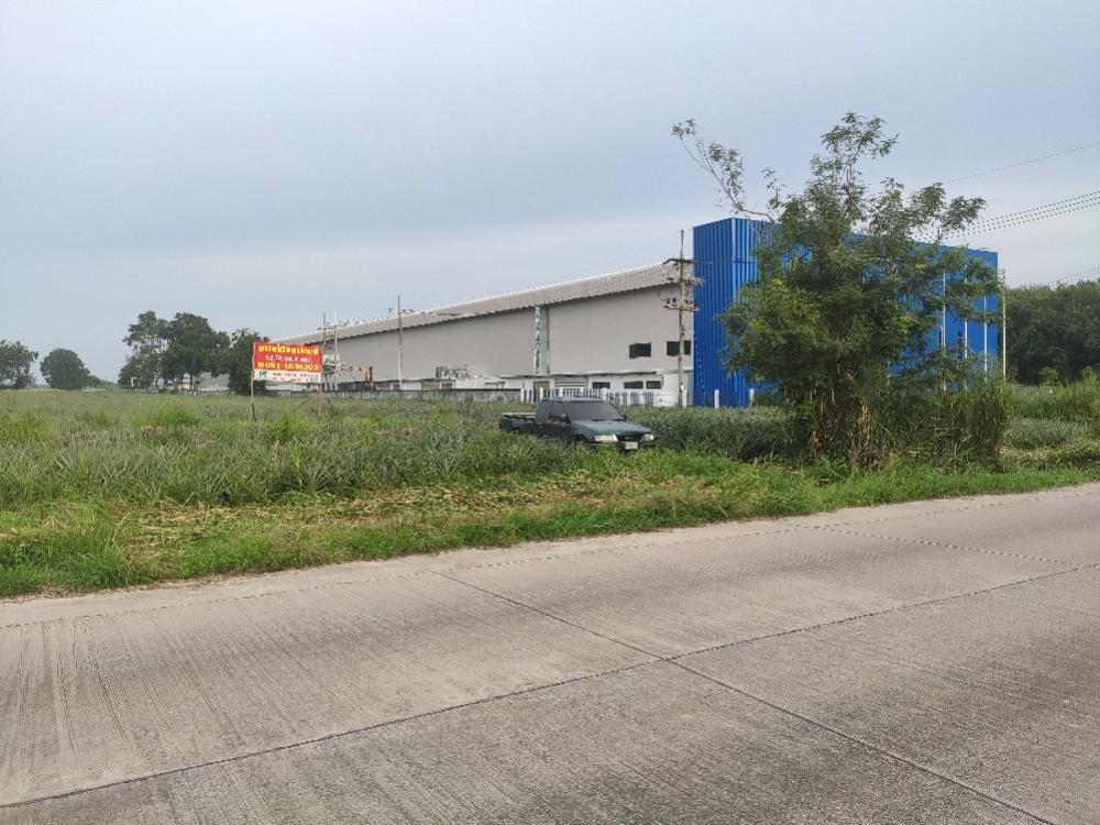 Land for sale, Khu Khu Soi 4, Pluak Daeng, Rayong Province #EEC area – รูปที่ 2