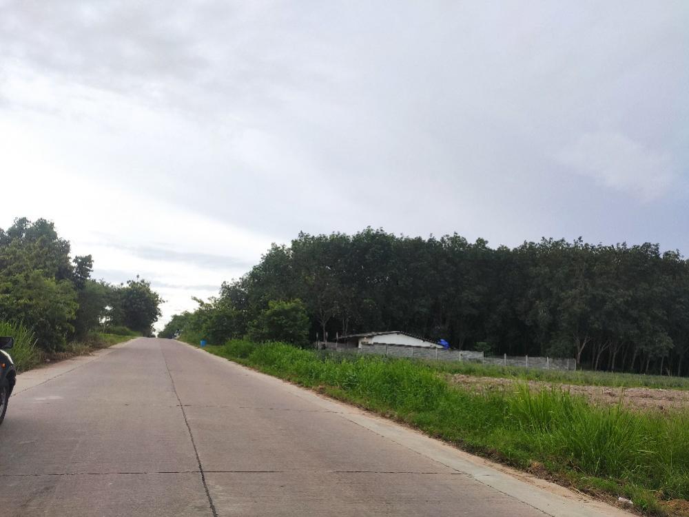 Land for sale, Khu Khu Soi 4, Pluak Daeng, Rayong Province #EEC area – รูปที่ 4