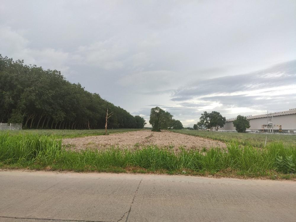 Land for sale, Khu Khu Soi 4, Pluak Daeng, Rayong Province #EEC area – รูปที่ 3
