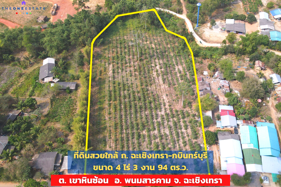 📣 Beautiful land ready to make a profit, better than depositing in the bank, planting eucalyptus trees, 2 stumps, growing, ready to harvest, near Chachoengsao-Kabinburi Rd. Water and electricity are accessible. Convenient travel in and out of Phanom Sarak 📣 Beautiful land ready to make a profit, better than depositing in the bank, planting eucalyptus trees, 2 stumps, growing, ready to harvest, near Chachoengsao-Kabinburi Rd. Water and electricity are accessible. Convenient travel in and out of Phanom Sarak