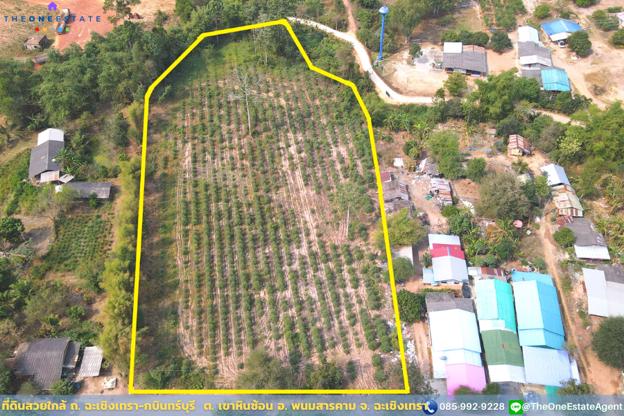 📣 Beautiful land ready to make a profit, better than depositing in the bank, planting eucalyptus trees, 2 stumps, growing, ready to harvest, near Chachoengsao-Kabinburi Rd. Water and electricity are accessible. Convenient travel in and out of Phanom Sarak – รูปที่ 3
