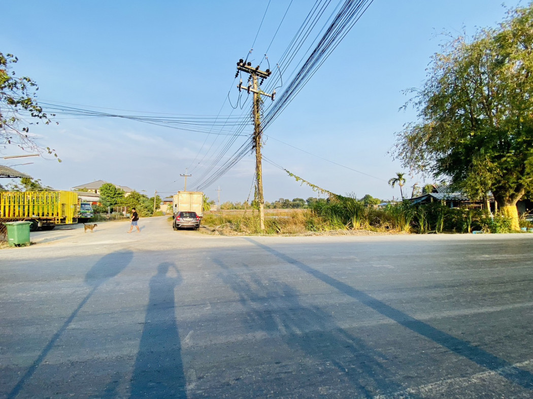 Land for sale, Muang District, Nakhon Pathom, size 47 rai 2 ngan 44 square wa, near Nakhon Pathom Rajabhat University – รูปที่ 4