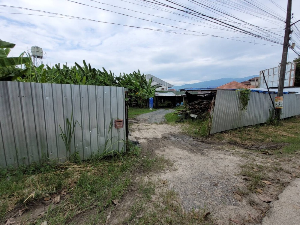Land for sale, 300 square wah, Patan, Chiang Mai. – รูปที่ 2