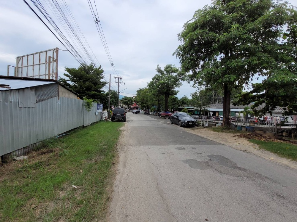 Land for sale, 300 square wah, Patan, Chiang Mai. – รูปที่ 4