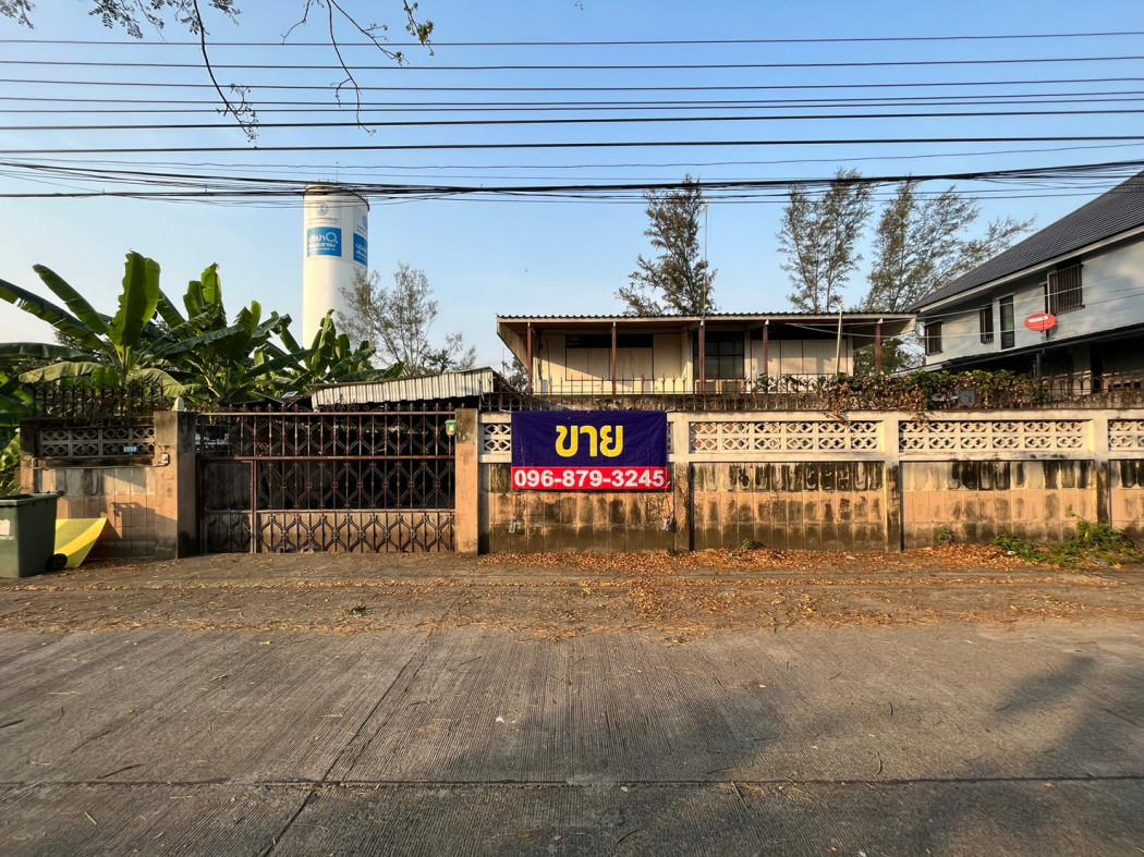 ขายถูก ที่ดิน 131 ตรว หมู่บ้านการไฟฟ้าภูมิภาค นิเวศน์ 2 ประชาชื่น 14 แปลงสี่เหลี่ยม เหมาะสร้างบ้าน ขายถูก ที่ดิน 131 ตรว หมู่บ้านการไฟฟ้าภูมิภาค นิเวศน์ 2 ประชาชื่น 14 แปลงสี่เหลี่ยม เหมาะสร้างบ้าน