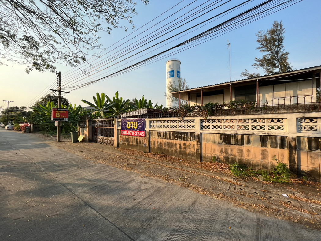 ขายถูก ที่ดิน 131 ตรว หมู่บ้านการไฟฟ้าภูมิภาค นิเวศน์ 2 ประชาชื่น 14 แปลงสี่เหลี่ยม เหมาะสร้างบ้าน – รูปที่ 3