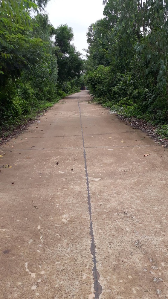 land for sale, Prachantakham District, Prachinburi Province, 295 square meters, width on the road, Soi 67 meters – รูปที่ 2
