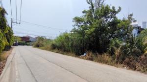ขาย ที่ดิน 200 ตร.วา แปลงมุม ซ.บางขนุน 1 บางกรวย นนทบุรี จาก ถ. ราชพฤกษ์ เพียง 3 กม.