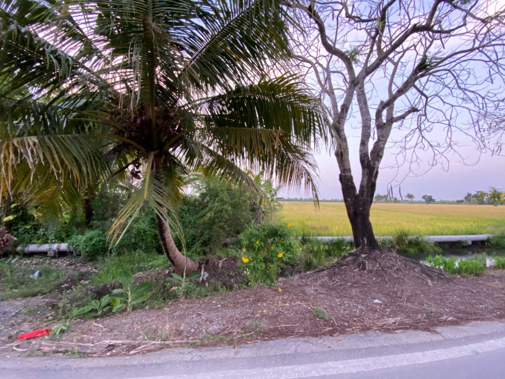 Land for rent next to the main road, 2 lanes, Khlong Sip-Klong Sip Si Road, 100 sq m. 3000 baht, rent more than 1 rai if you like. – รูปที่ 4
