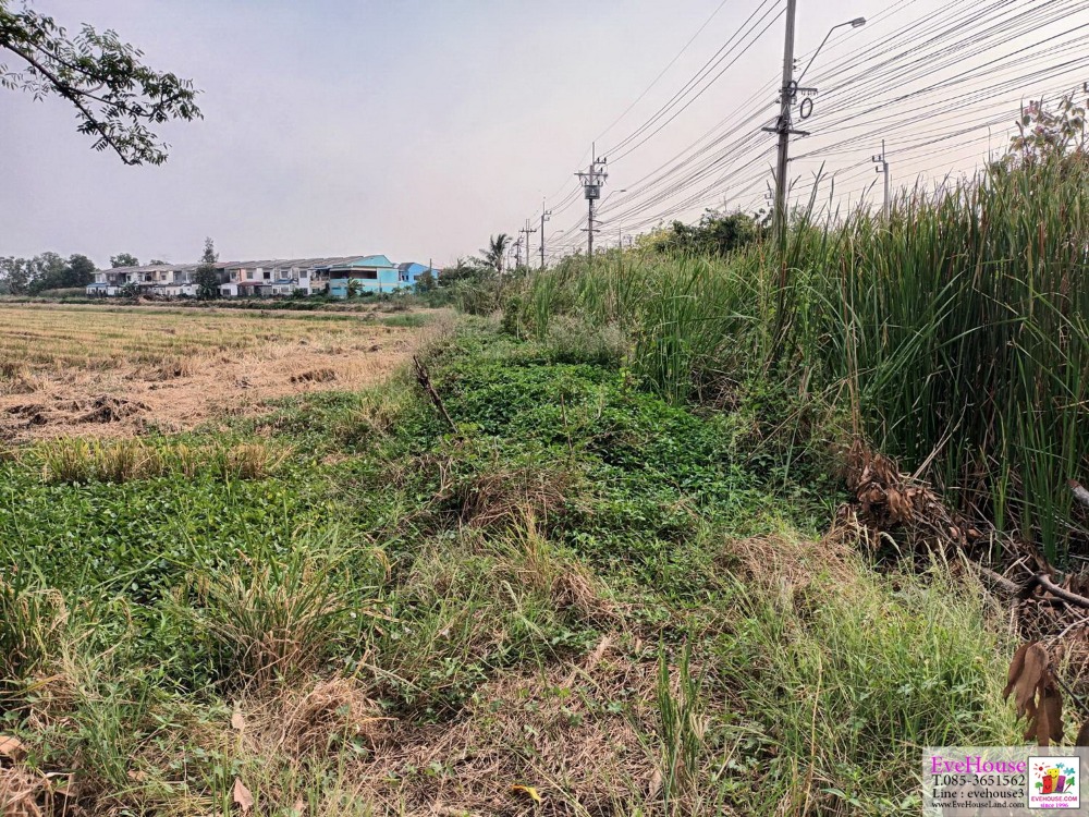 ขายที่ดิน 10.5 ไร่ ติดถ.ร่วมพัฒนา หนองจอก ไร่ละ 2.5 ล้าน ใกล้ขนส่ง 4 – รูปที่ 3