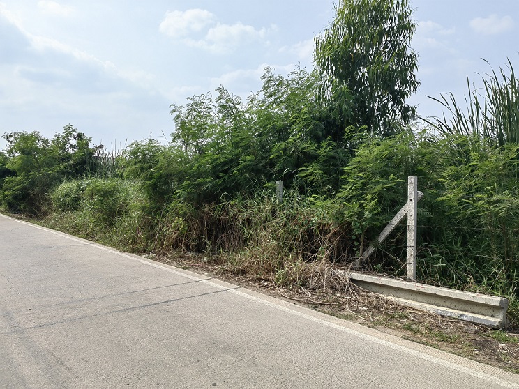 Land for sale, 2 rai in Soi Khlong Sam 1/17, Rangsit-Nakhon Nayok Road, Khlong 3, the land is in a community area. – รูปที่ 2