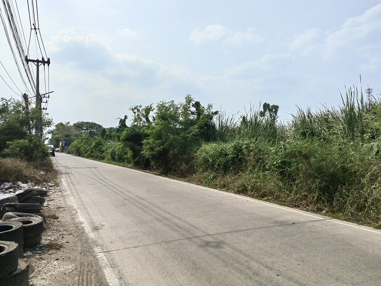 Land for sale, 2 rai in Soi Khlong Sam 1/17, Rangsit-Nakhon Nayok Road, Khlong 3, the land is in a community area. – รูปที่ 3