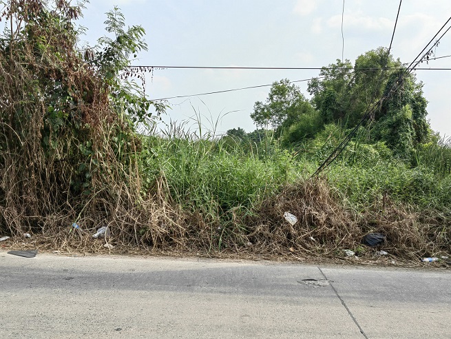 Land for sale, 8 rai in Soi Khlong Sam 2/1, Rangsit-Nakhon Nayok Road, Khlong 3, Pathum Thani. The land is in a community. Suitable for building a residence or doing a business. – รูปที่ 2