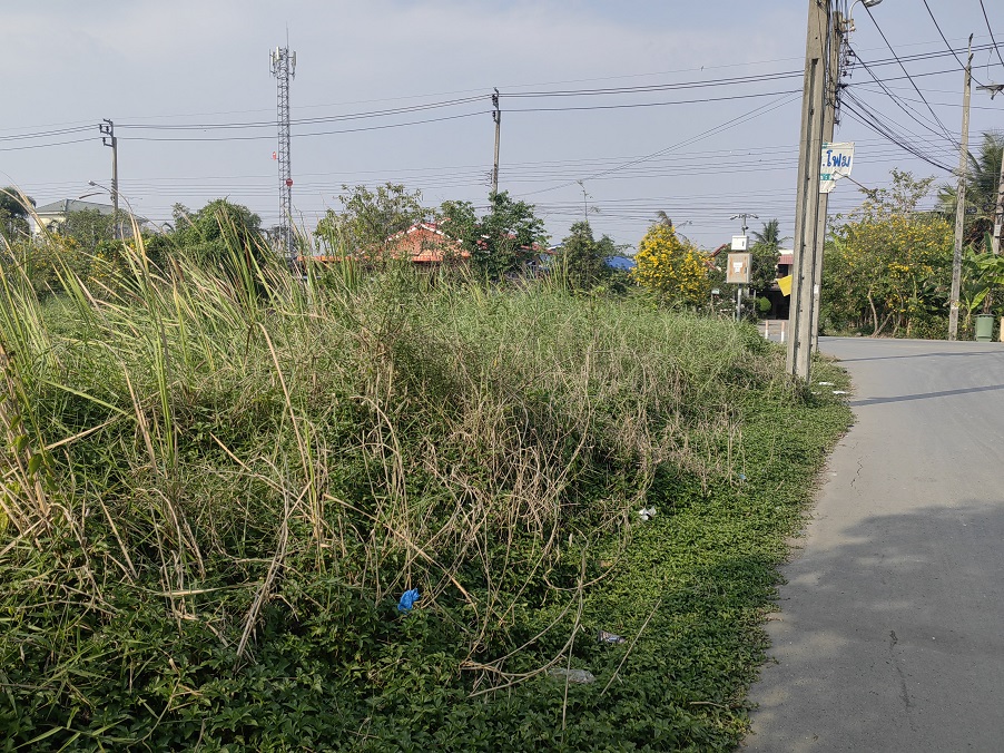 ขายที่ดิน 4-3-32 ไร่ ซอยสุวินทวงค์ 47 (ซอยธรรมรัตน์ หรือซอยวัดราษฎร์บำรุง)) เยื้ยงทางเข้าสนามกอล์ฟเพรสซิเด้นท์ – รูปที่ 2