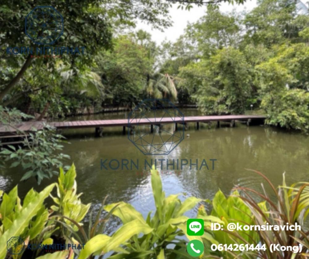 Rare Opportunity! 8-Rai Orange Zone Land (Soi Soonvijai) | Perfect for Condominium, Medical Center, or Luxury Wellness Project