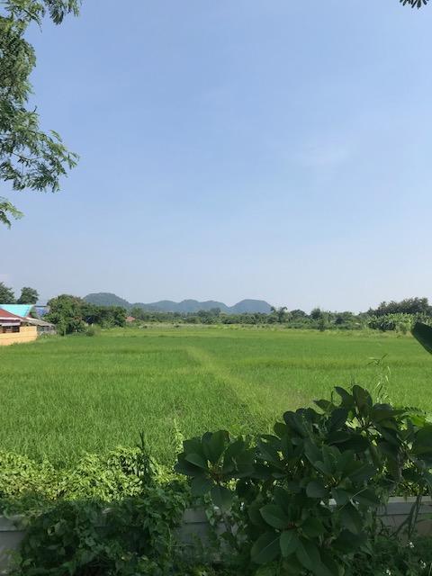 RARE FIND!
Beautiful land for , mountain views, near bypass, 10-15 mins to airport, residential area, 300 squareWah (12,000 Sqm2) big discount to 9000 baht per square wah. – รูปที่ 3