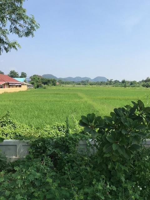 RARE FIND!
Beautiful land for , mountain views, near bypass, 10-15 mins to airport, residential area, 300 squareWah (12,000 Sqm2) big discount to 9000 baht per square wah. – รูปที่ 4
