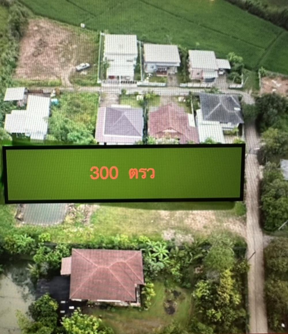 Rare fnd! หาที่ปลูกบ้าน สงบร่มรื่น ต้องผืนนี้เลย ขายที่ดินสวย 300 ตรว เขตขุมชนน่าอยู่ ที่ถมสูงแล้ว วิวภูเขา และทุ่งนา ใกล้บายพาส เพียง 15 นาทีจากสนามบิน มีเพื่อนบ้าน ต้นไม้ ผลไม้ร่มรื่น พื้นที่ 300 ตรว. ลดสุดๆ เหลือราคาตารางวาละ 9000 บาท Rare fnd! หาที่ปลูกบ้าน สงบร่มรื่น ต้องผืนนี้เลย ขายที่ดินสวย 300 ตรว เขตขุมชนน่าอยู่ ที่ถมสูงแล้ว วิวภูเขา และทุ่งนา ใกล้บายพาส เพียง 15 นาทีจากสนามบิน มีเพื่อนบ้าน ต้นไม้ ผลไม้ร่มรื่น พื้นที่ 300 ตรว. ลดสุดๆ เหลือราคาตารางวาละ 9000 บาท