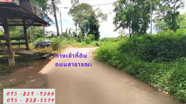 ขายที่ดินถมแล้ว 1-2-78 ไร่ วิวสวย ติดแม่น้ำป่าสัก ไฟฟ้า ประปาพร้อม ถนนสาธารณะ และบ้านพัก 1 หลัง เพิ่งสร้างใหม่ อ.ท่าเรือ จ.อยุธยา – รูปที่ 4