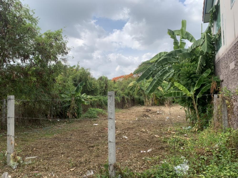 Land for sale Nawamin 74 100 and 155 sq m. – รูปที่ 3