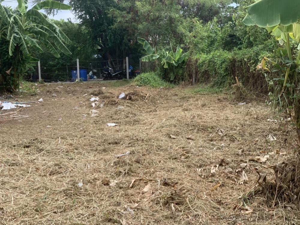 Land for sale Nawamin 74 100 and 155 sq m. – รูปที่ 4