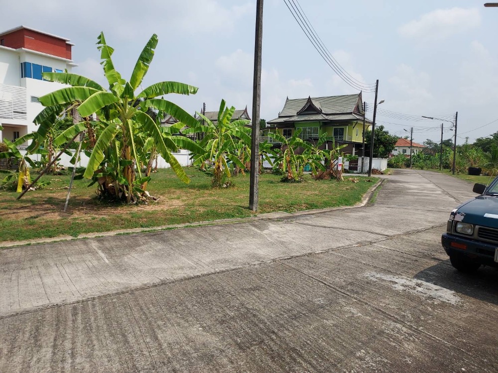 Land for sale, Phuket, 110.3 sq wah, corner plot, 99 Phuket Andaman Tropical Home, Muang Phuket, Suitable for pool villa – รูปที่ 2