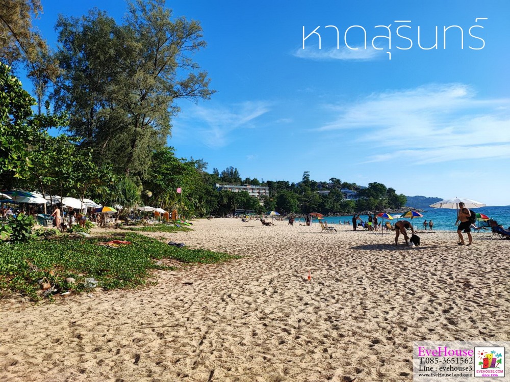 Land For Sale, Choeng Thale, Surin Beach, Size 10 Rai, 20 Million/Rai. – รูปที่ 3