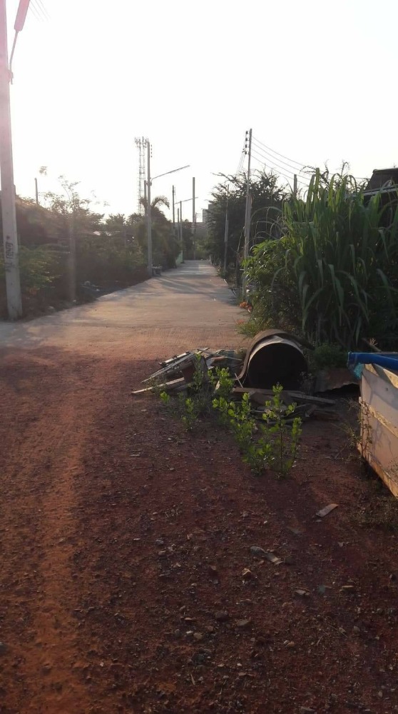 Urgent sale, 1 rai of land, Tha Sai Subdistrict, Samut Sakhon – รูปที่ 4
