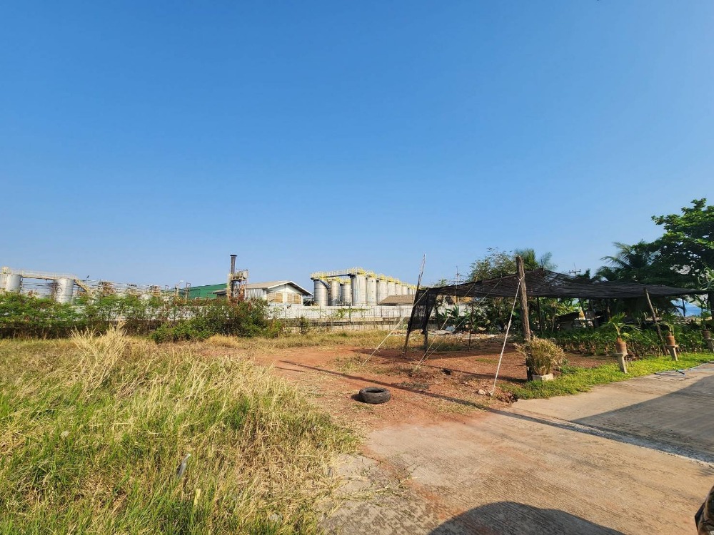 Urgent sale, 1 rai of land, Tha Sai Subdistrict, Samut Sakhon – รูปที่ 2