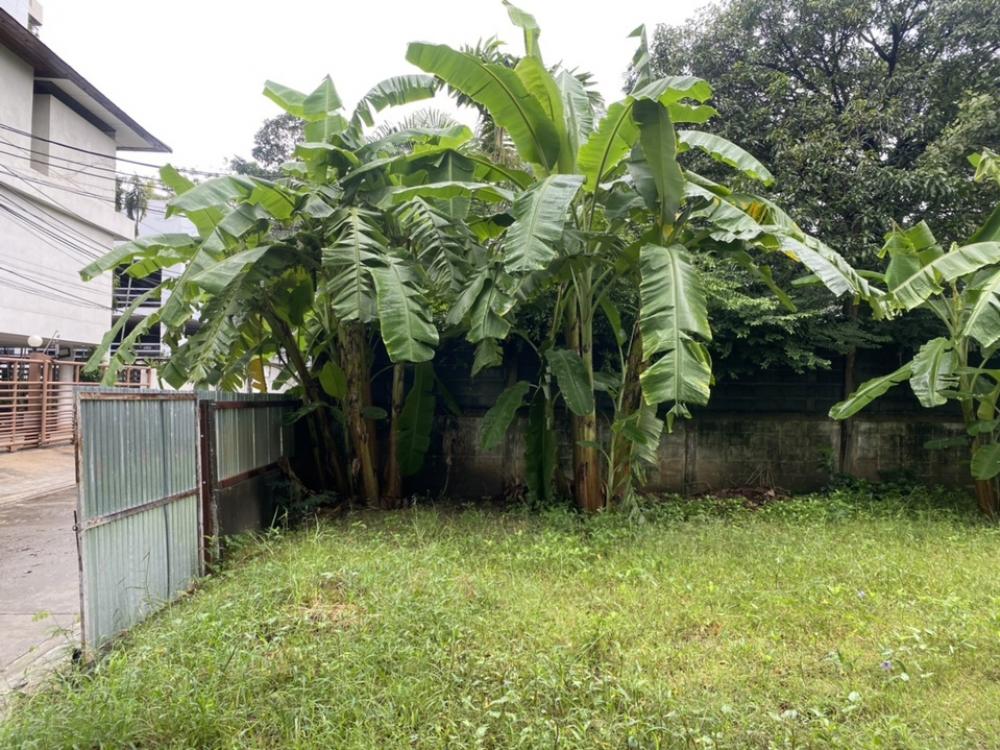 ให้เช่าที่ดิน เอกมัยซอย 10 – รูปที่ 3