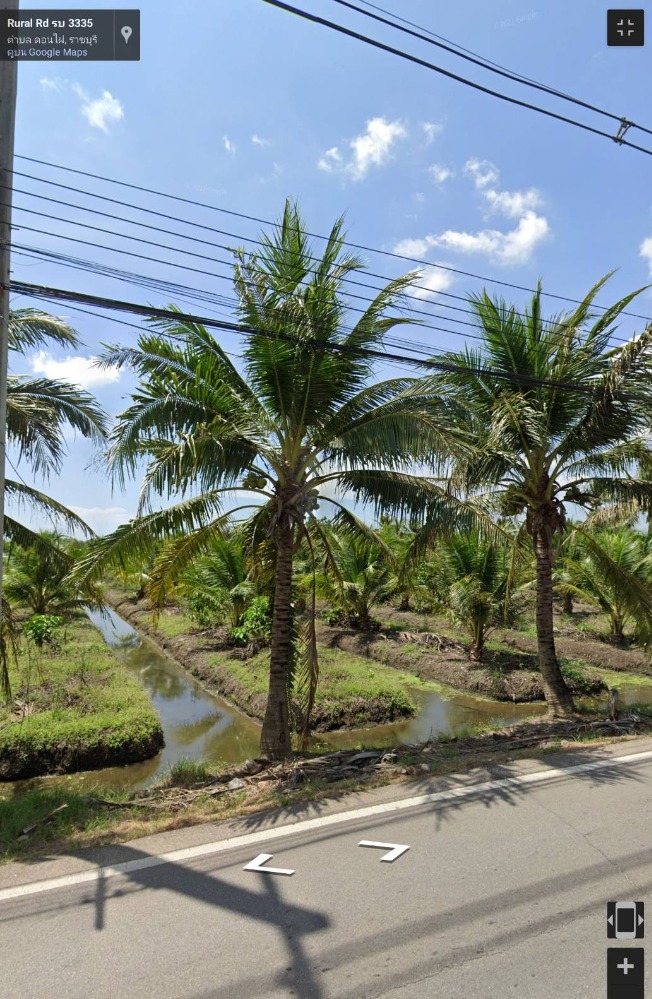 ขายสวนมะพร้าวน้ำหอม พร้อมตัด หลัก 5 ดำเนินสะดวก ราชบุรี ขายสวนมะพร้าวน้ำหอม พร้อมตัด หลัก 5 ดำเนินสะดวก ราชบุรี