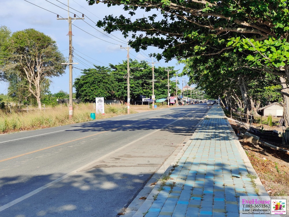 Land For Sale, On Mae Ramphueng Beach Road, Rayong, Size 115 Rai – รูปที่ 3