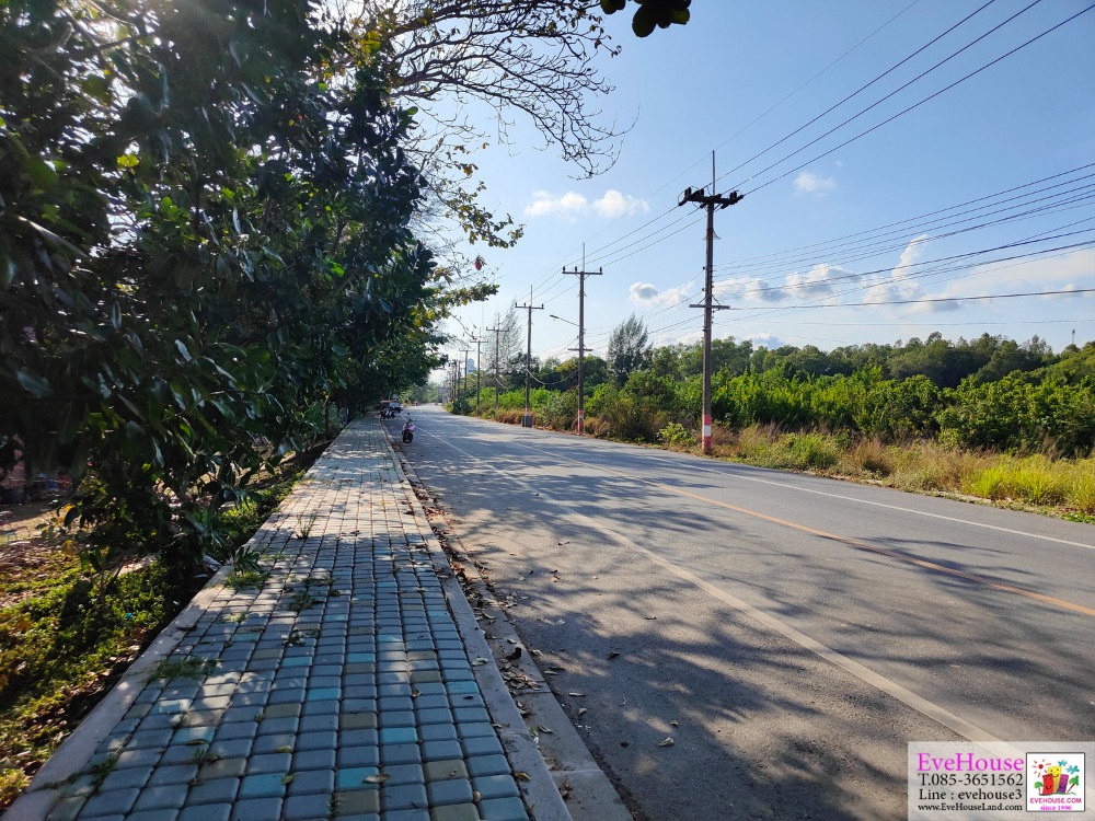 Land For Sale, On Mae Ramphueng Beach Road, Rayong, Size 115 Rai – รูปที่ 4