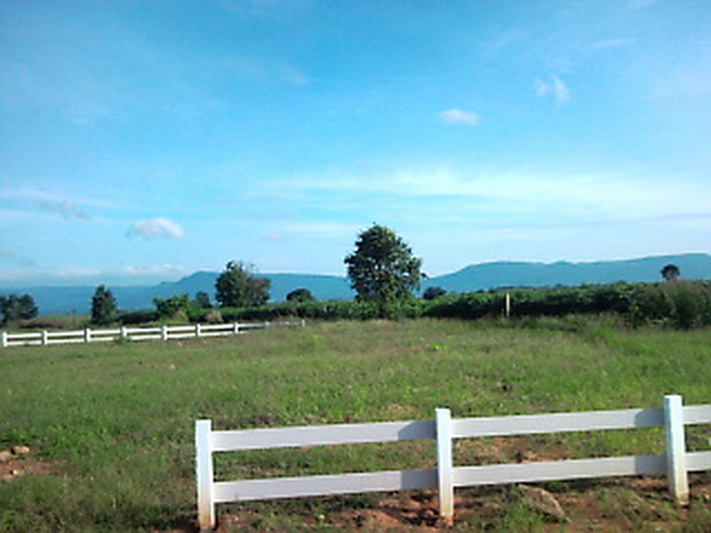 ขายที่ดิน44ไร่ คลองม่วง ปากช่อง เขาใหญ่ สวยมากมีเนินเขา น้ำ 3จุด ไฟฟ้าพร้อม ติดต่อ 0863117796 – รูปที่ 2