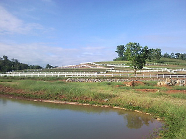 ขายที่ดิน44ไร่ คลองม่วง ปากช่อง เขาใหญ่ สวยมากมีเนินเขา น้ำ 3จุด ไฟฟ้าพร้อม ติดต่อ 0863117796 – รูปที่ 3