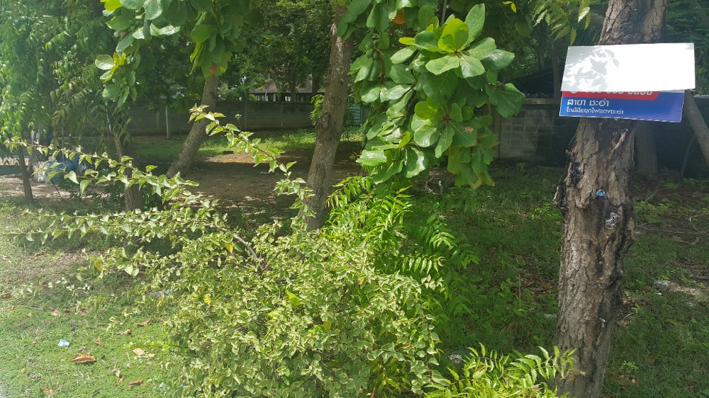 Land for sale near Cha-am beach. Next to Cha Am Cabana Hotel, opposite Long Beach Condo, a few steps walk to Cha Am Beach, land 193 sqw. – รูปที่ 3