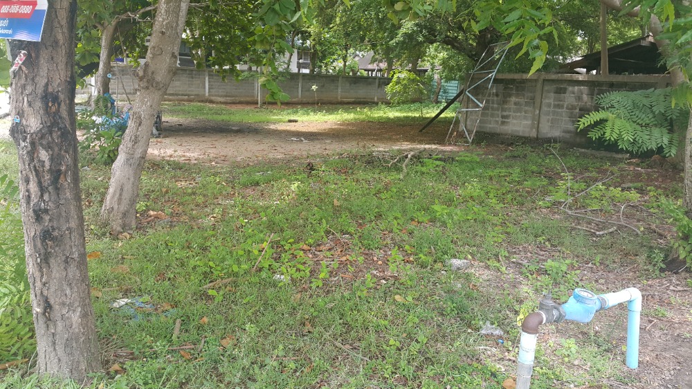 Land for sale near Cha-am beach. Next to Cha Am Cabana Hotel, opposite Long Beach Condo, a few steps walk to Cha Am Beach, land 193 sqw. – รูปที่ 4