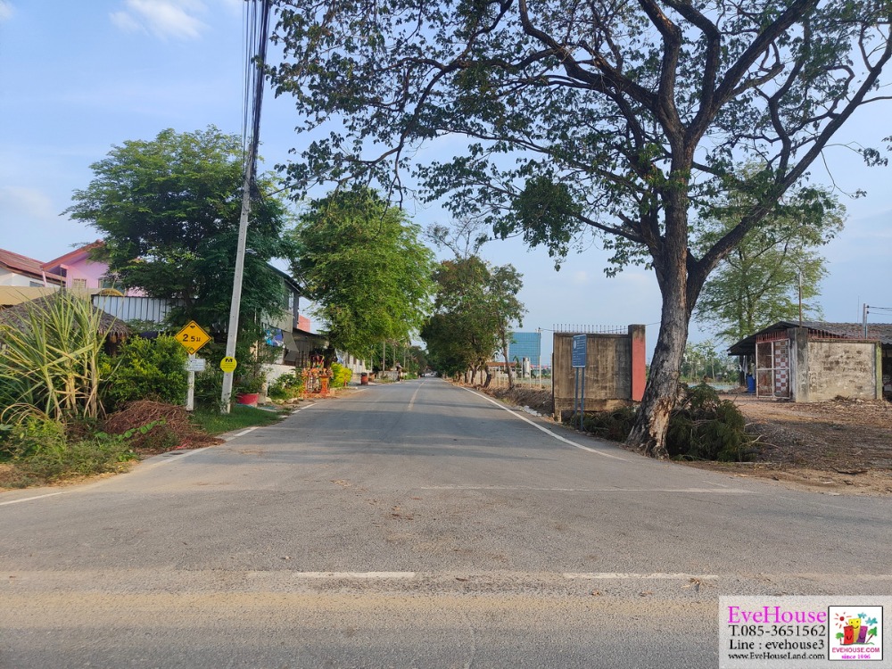 ขายที่ดิน 16 ไร่ ติดถ.เพชรเกษม นครปฐม 125 เมตร ไร่ละ 18 ล้าน – รูปที่ 4