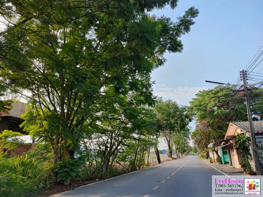 ขายที่ดิน 16 ไร่ ติดถ.เพชรเกษม นครปฐม 125 เมตร ไร่ละ 18 ล้าน – รูปที่ 3