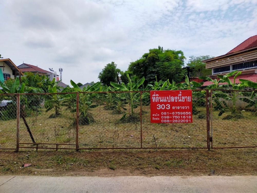 🎉Beautiful land in the heart of Phitsanulok, 303 sq m, 6,500,000 million baht. 🎉Beautiful land in the heart of Phitsanulok, 303 sq m, 6,500,000 million baht.