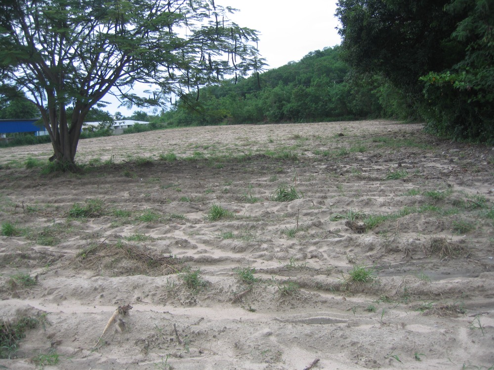 🎉 #Land for sale in Ban Chang, 6 rai 89 square wah, Rayong, near U-Tapao Airport, 65 million baht – รูปที่ 4