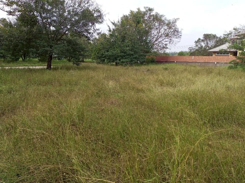 Land for sale 199 square wa. Near the club 1 m. The Lagoon 1,2